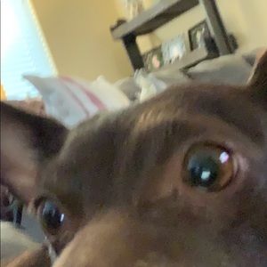 Meet your Posher, Lynne